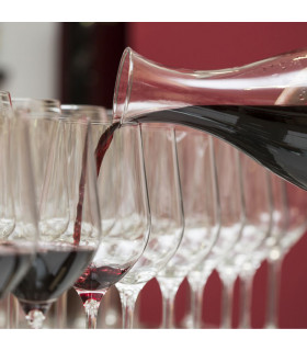 Curso de iniciación al mundo del vino para grupos