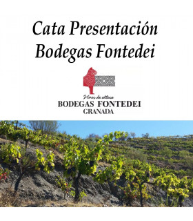 Presentación Bodega Fontedei