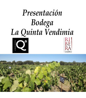 Presentación Bodega La Quinta Vendimia (Ribera del Duero)