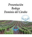 copy of Presentación Bodega La Quinta Vendimia (Ribera del Duero)