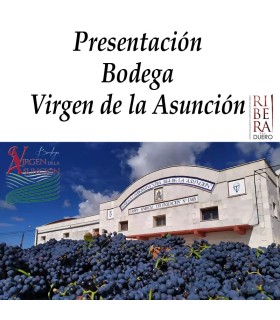 Presentación Bodega Virgen de la Asunción