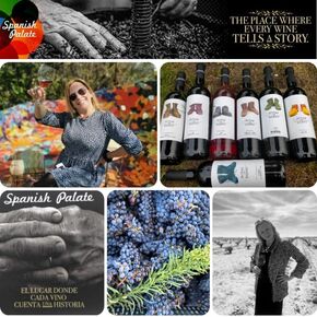 Presentación Bodega Spanish Palate