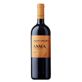 Anma Tinto